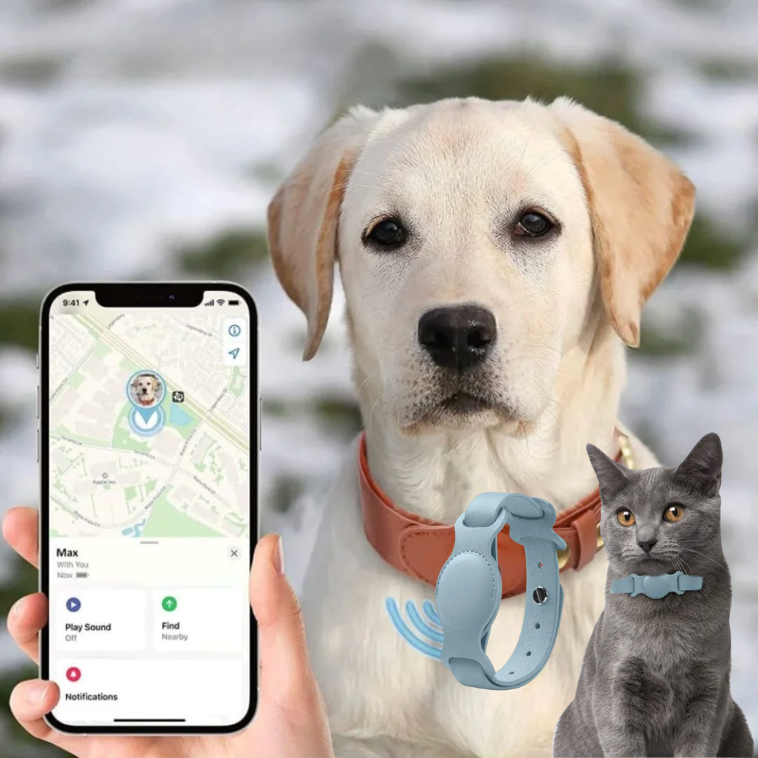 Pack 2 Gps para mascota