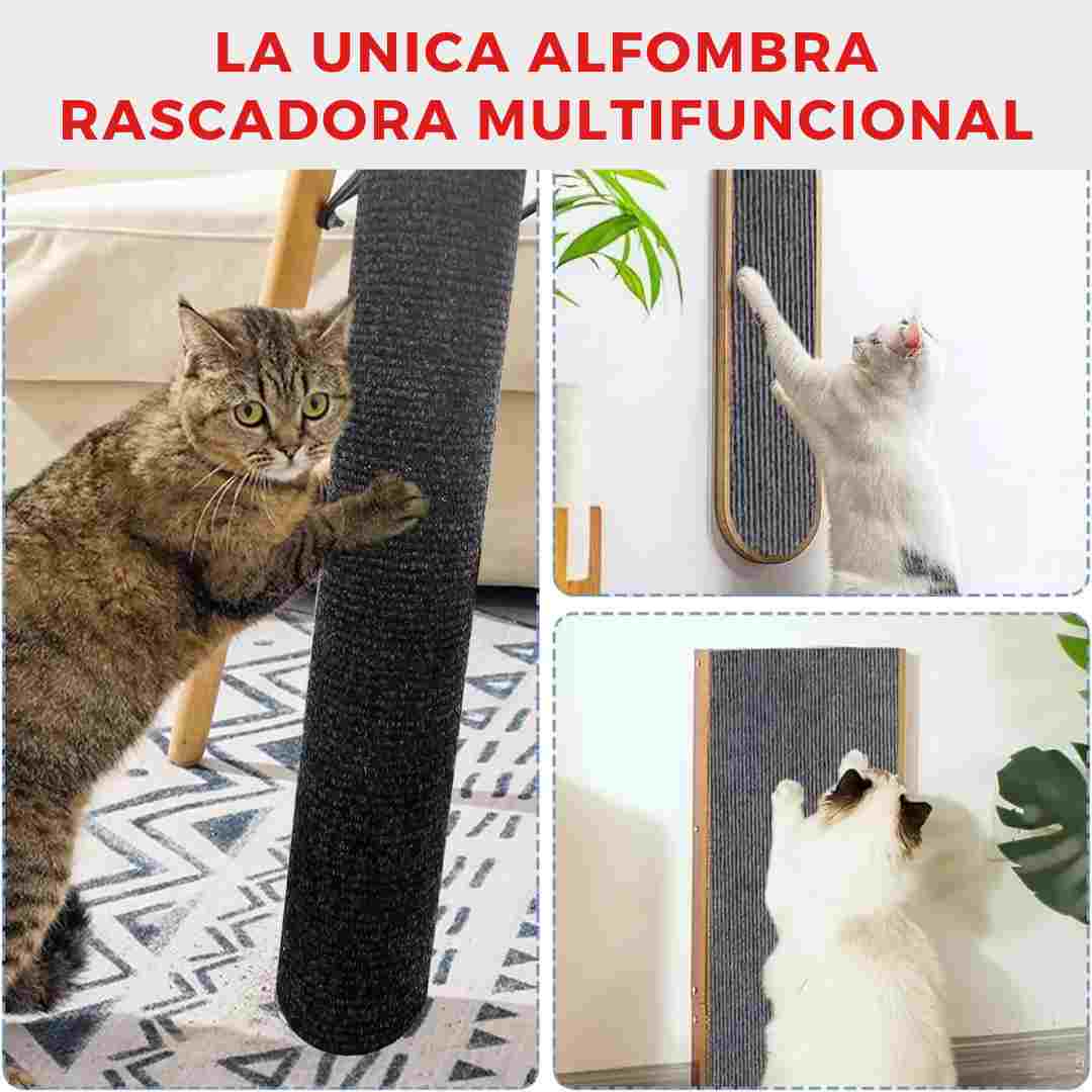 Compra 1 lleva3 Cat Wall+2 Guantes Quitapelos