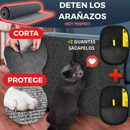 Compra 1 lleva3 Cat Wall+2 Guantes Quitapelos
