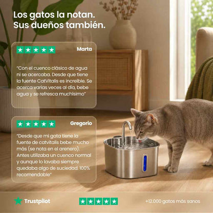 Compra1 LLeva2 Fuente Automática para Mascotas